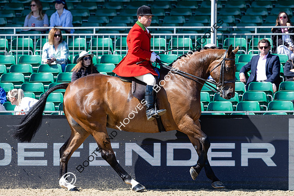 Royal Windsor Horse Show