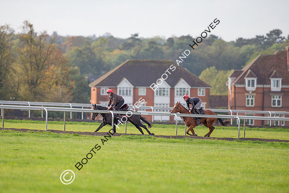Newmarket