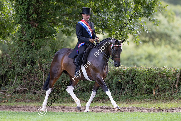 The Royal International Horse Show