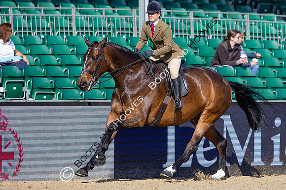 Royal Windsor Horse Show