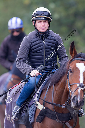 Newmarket