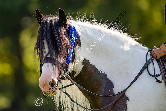 The Prenetics Royal International Horse Show