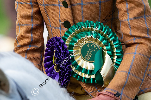 The Prenetics Royal International Horse Show