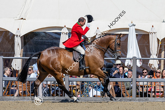Royal Windsor Horse Show