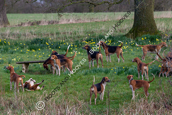 Hunting