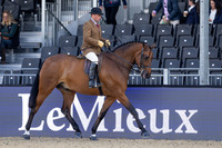Royal Windsor Horse Show