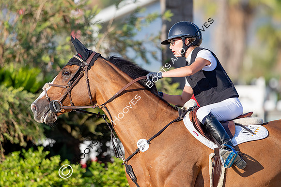 FEI Junior European Championship Young Riders, Juniors & Childre