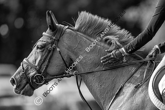 The Prenetics Royal International Horse Show