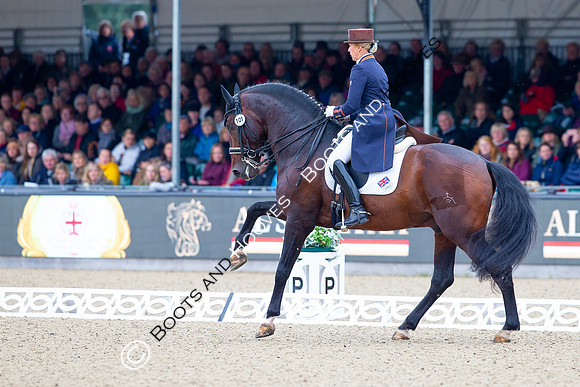 Royal Windsor Horse Show