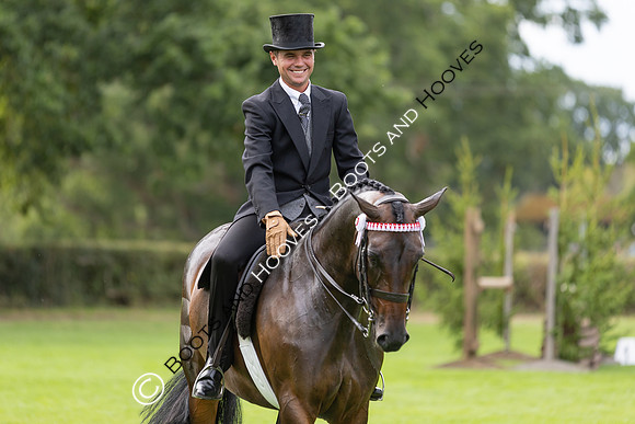 The Royal International Horse Show