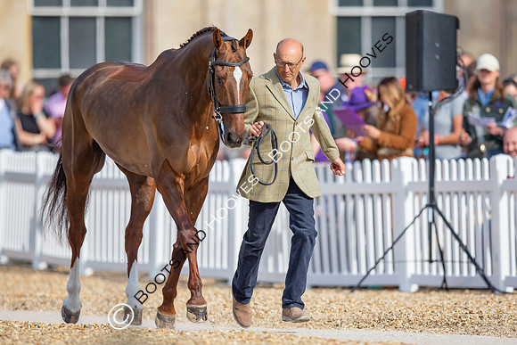 Badminton Horse Trials