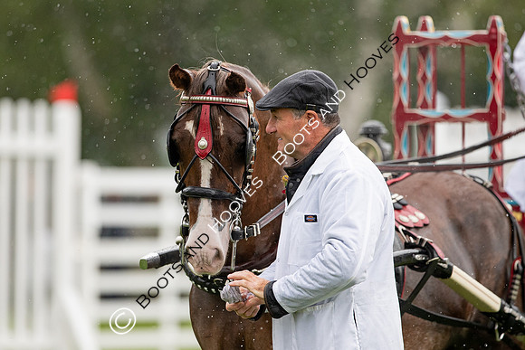 The Prenetics Royal International Horse Show