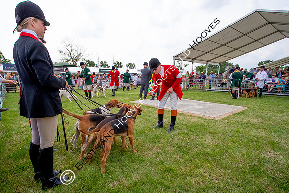 Festival of Hunting