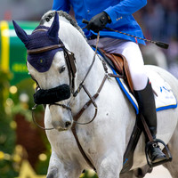 Showjumping