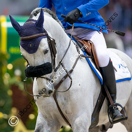 Showjumping