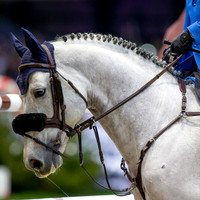 Showjumping