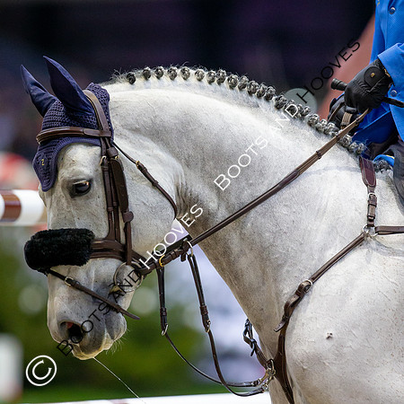 Showjumping