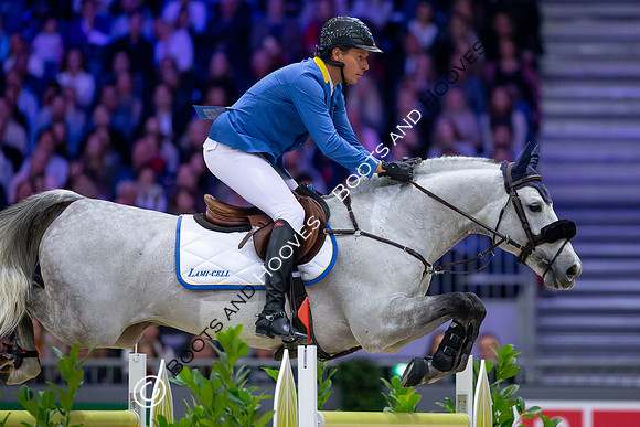 Showjumping