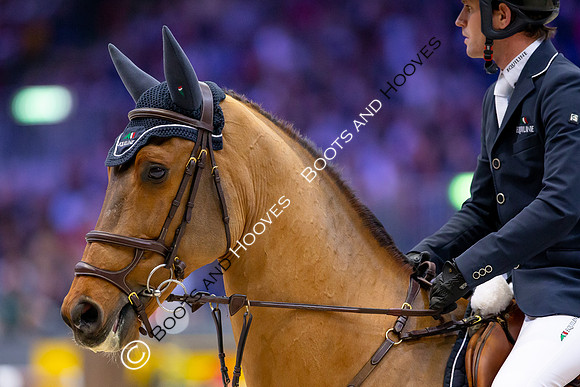 Showjumping