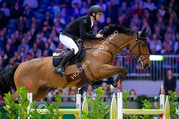 Showjumping