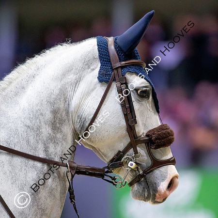 Showjumping