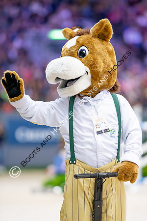 Showjumping