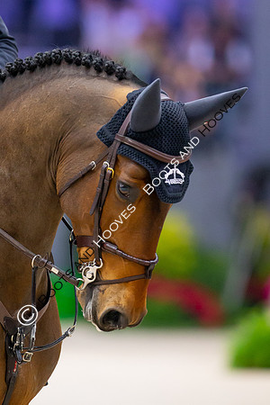 Showjumping
