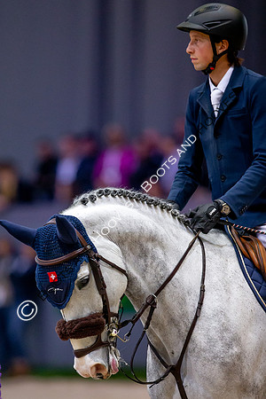 Showjumping