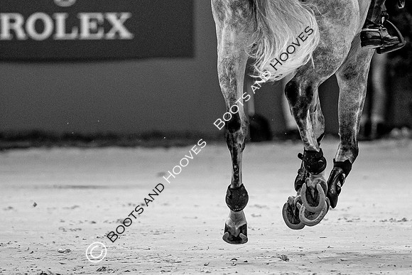 Showjumping