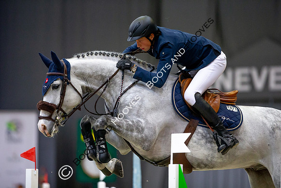 Showjumping