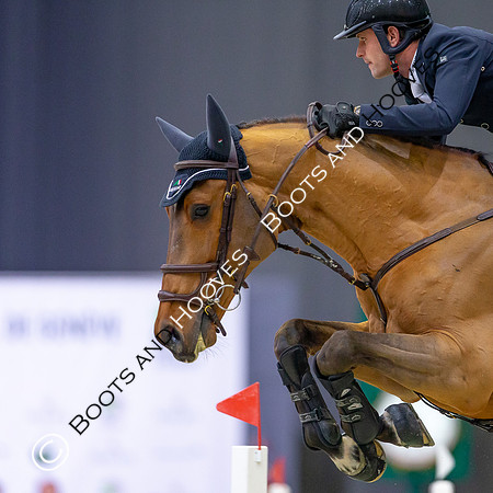 Showjumping