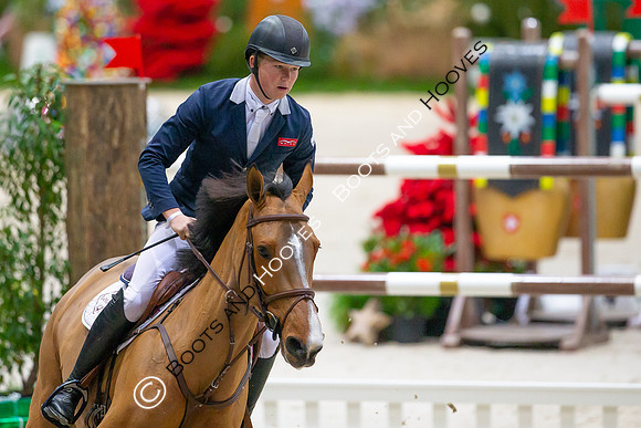 Showjumping