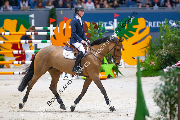 Showjumping