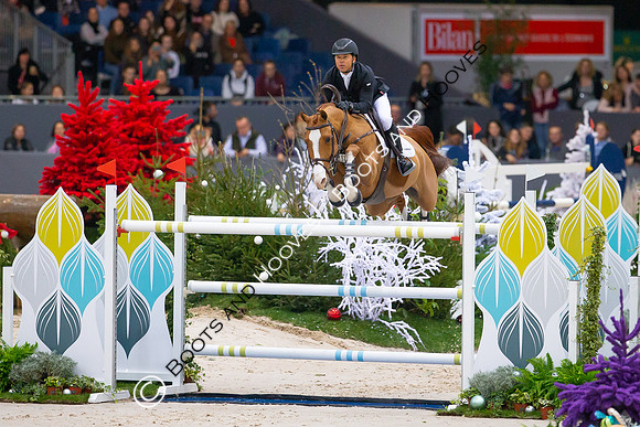 Showjumping