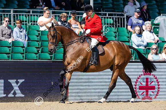 Royal Windsor Horse Show
