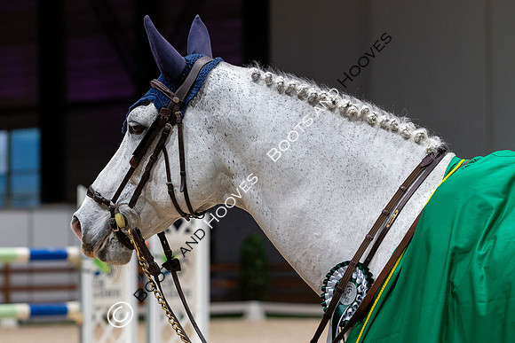 Showjumping
