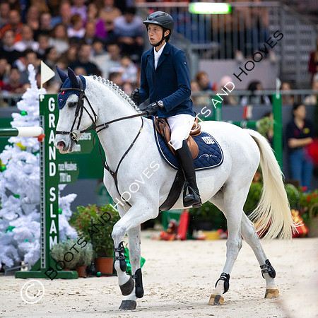 Showjumping