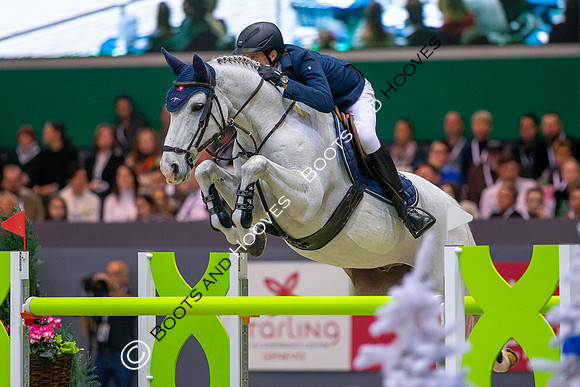 Showjumping