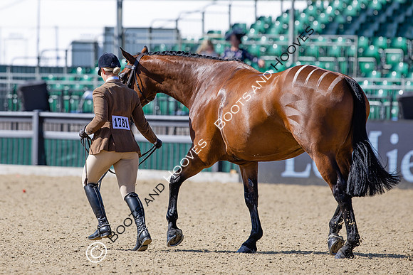 Royal Windsor Horse Show