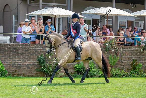 The Prenetics Royal International Horse Show