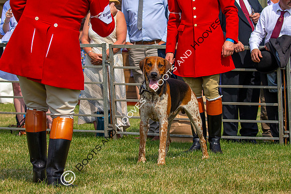 Festival of Hunting