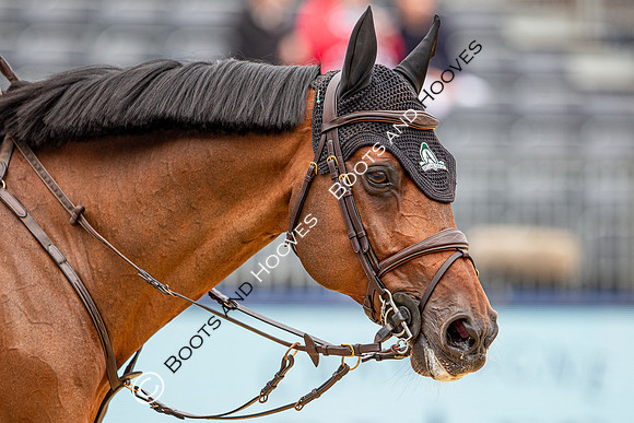 LGCT  London