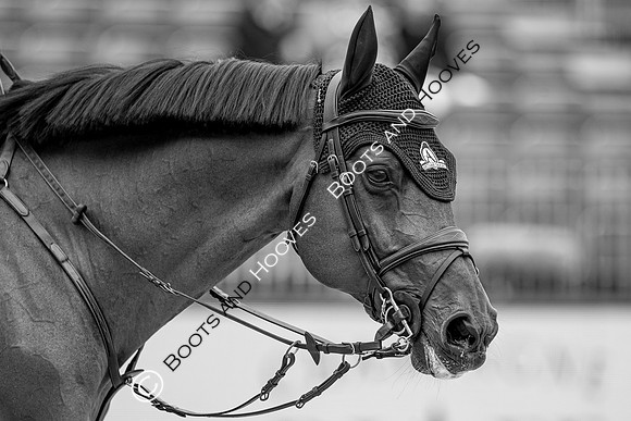 LGCT  London