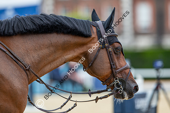 LGCT  London