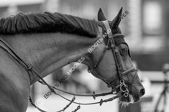 LGCT  London