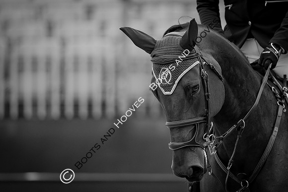 LGCT  London