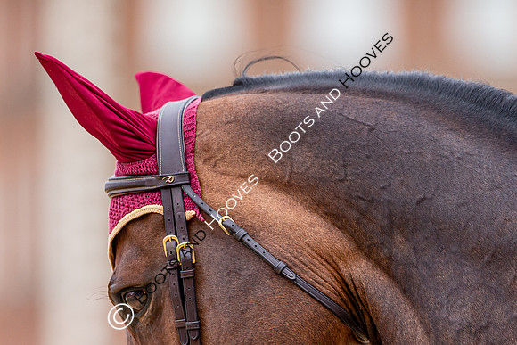 LGCT  London