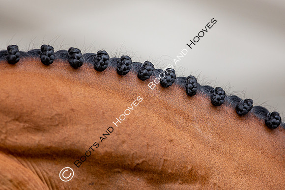 LGCT  London
