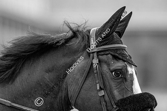 LGCT  London