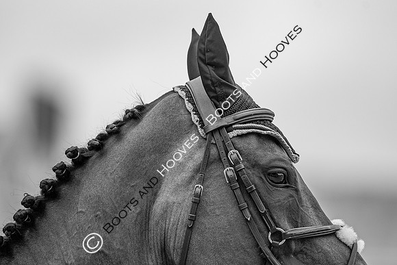 LGCT  London